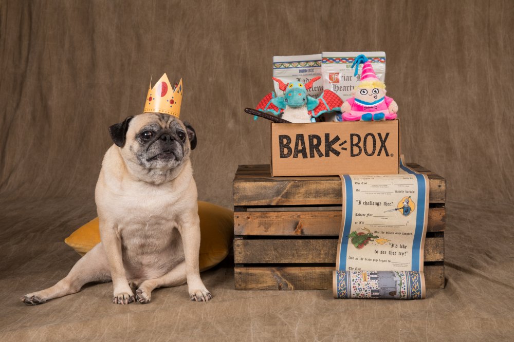 BarkBox Review